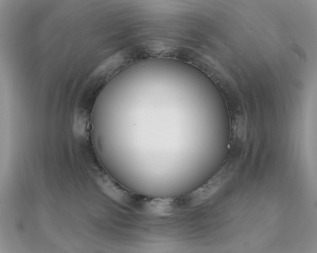 X0000110920138200906181416