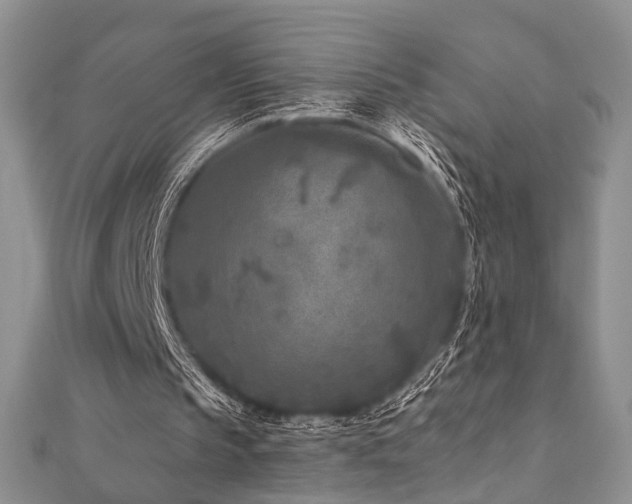 X0000110920145200906181416