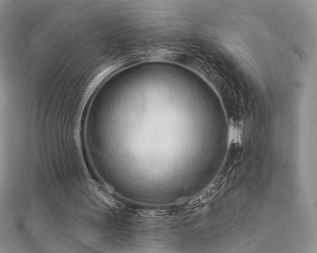 X0000110920147200906181416