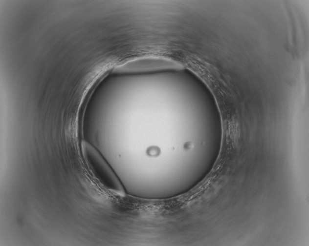 X0000110920148200906181416