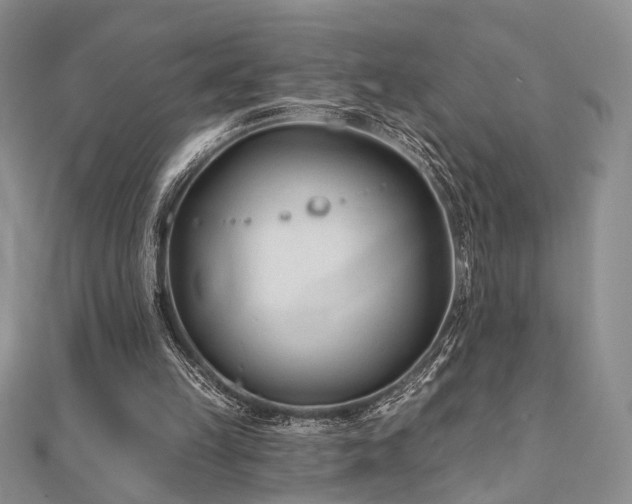 X0000110920149200906181416