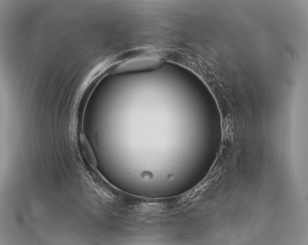 X0000110920150200906181416