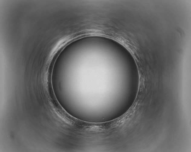 X0000110920151200906181416