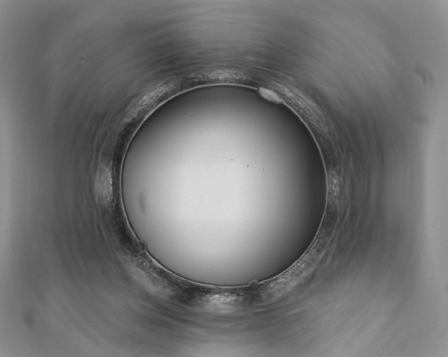 X0000110920158200906181416