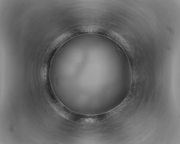 X0000110920163200906181416