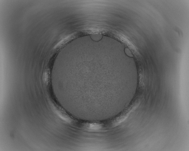 X0000110920165200906181416
