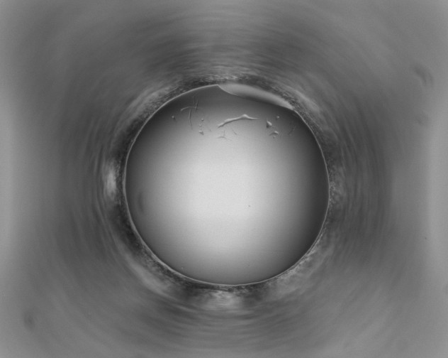 X0000110920166200906181416
