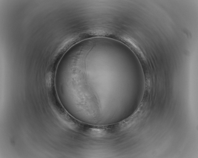 X0000110920167200906181416