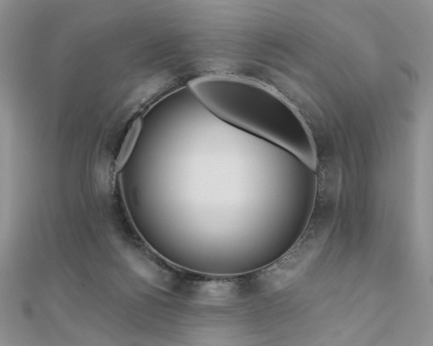 X0000110920168200906181416