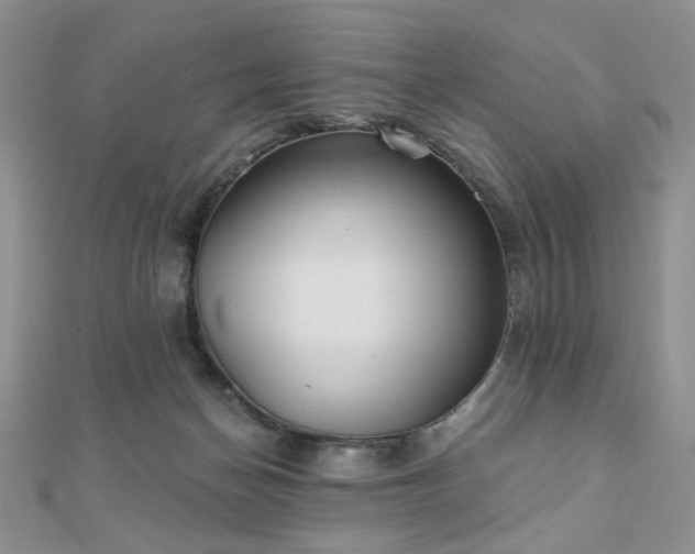 X0000110920174200906181416
