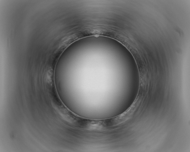 X0000110920175200906181416