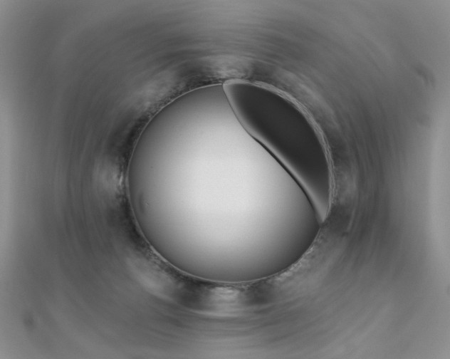 X0000110920176200906181416