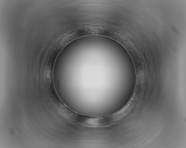 X0000110920178200906181416