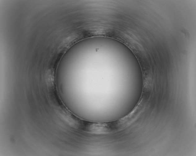 X0000110920179200906181416