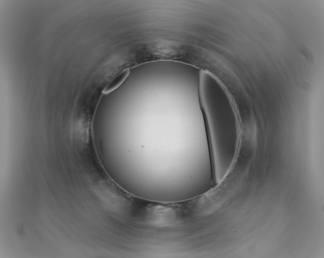 X0000110920180200906181416
