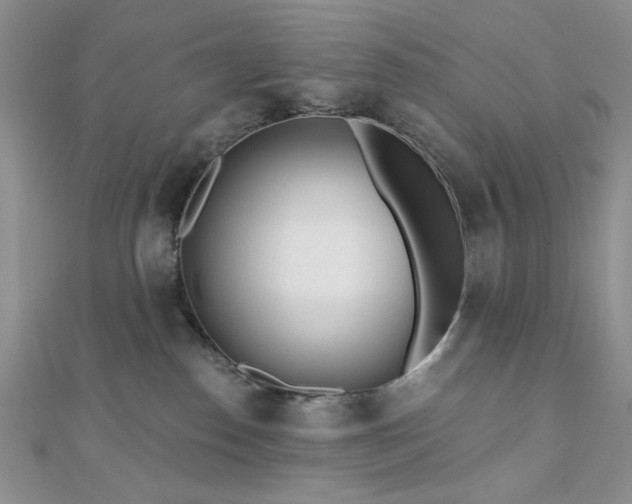 X0000110920186200906181416
