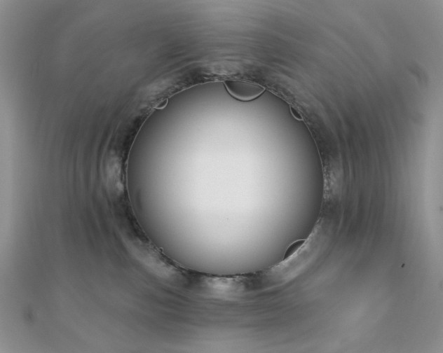 X0000110920187200906181416