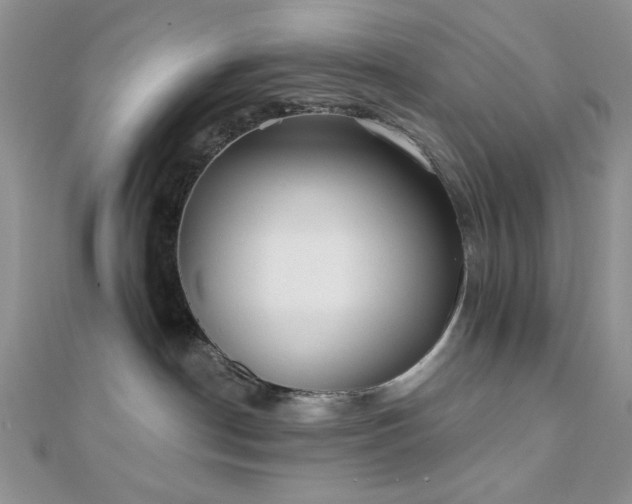 X0000110920190200906181416