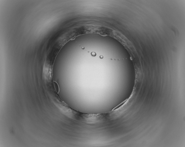X0000110920191200906181416