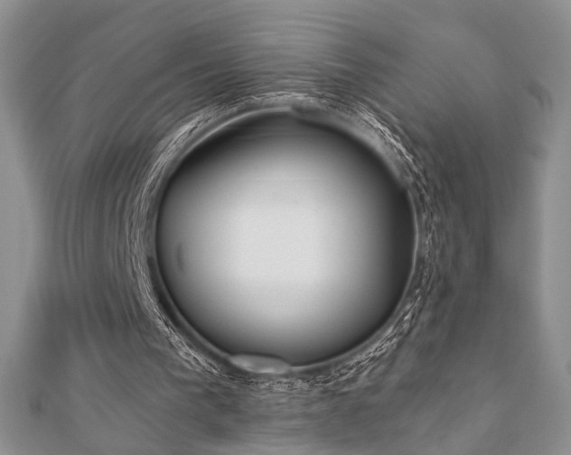 X0000110920193200906181416