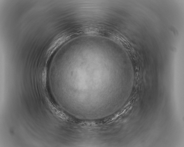 X0000110920194200906181416