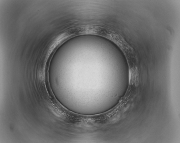 X0000110920195200906181416