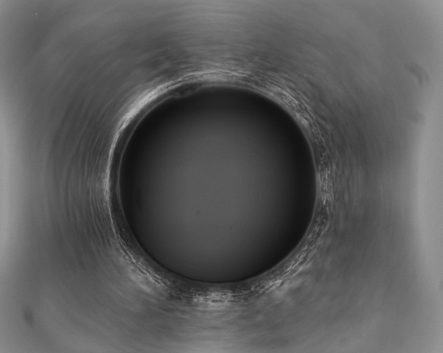 X0000110920196200906181416