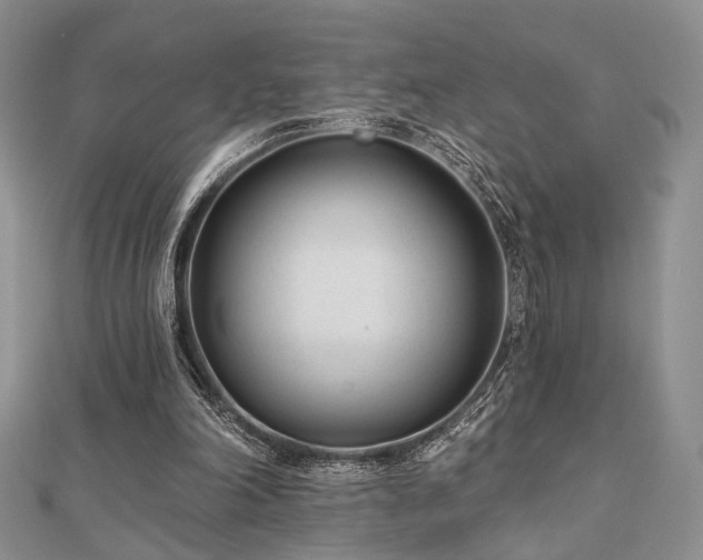 X0000110920198200906181416