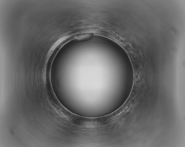 X0000110920200200906181416