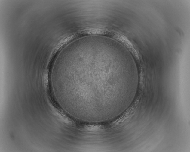 X0000110920202200906181416