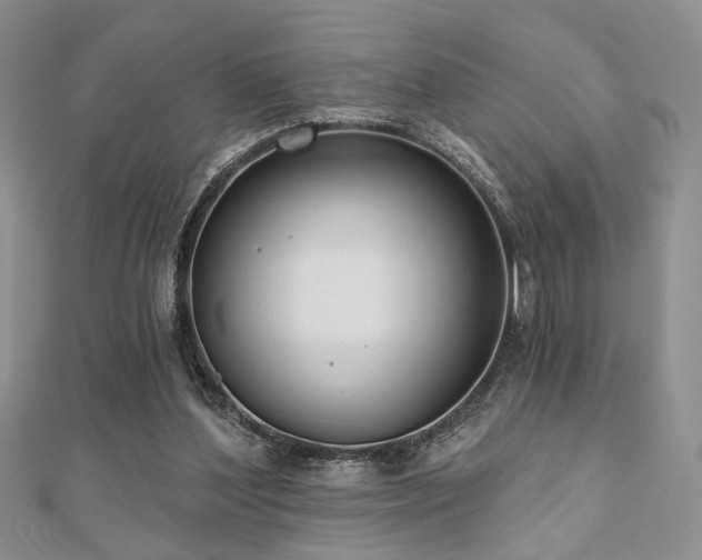 X0000110920204200906181416