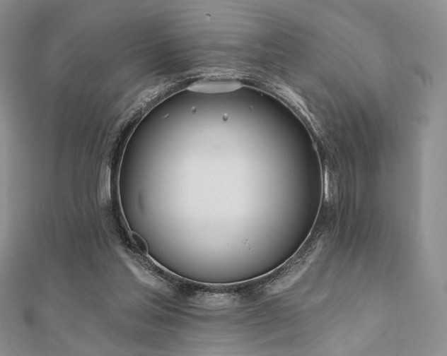 X0000110920205200906181416