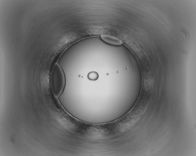 X0000110920207200906181415