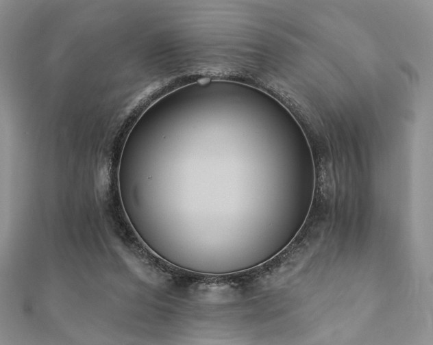 X0000110920208200906181415