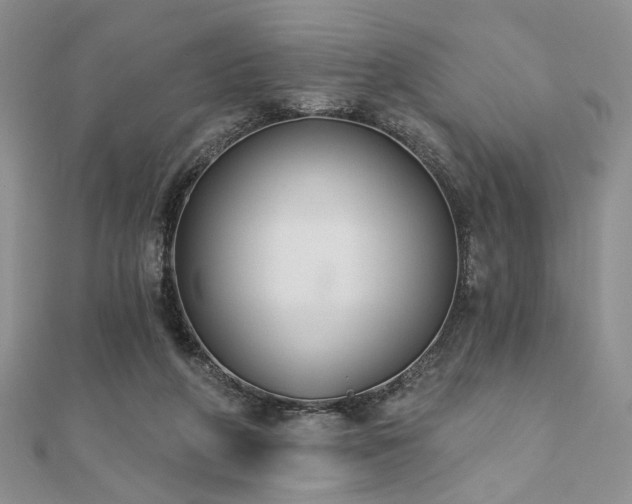 X0000110920210200906181415