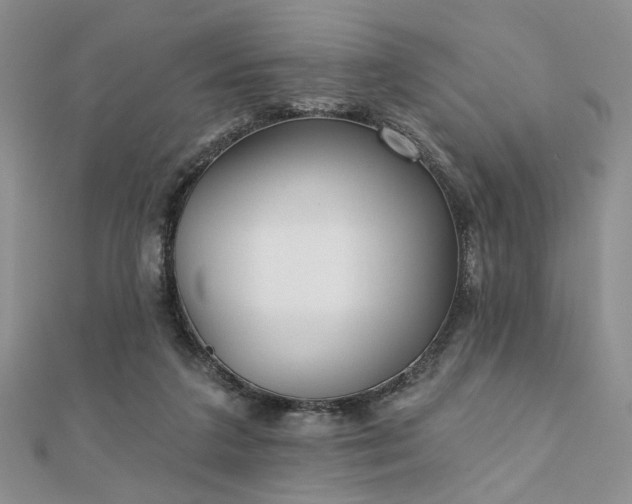 X0000110920211200906181415