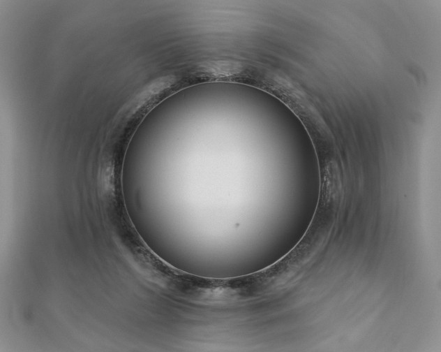 X0000110920212200906181415