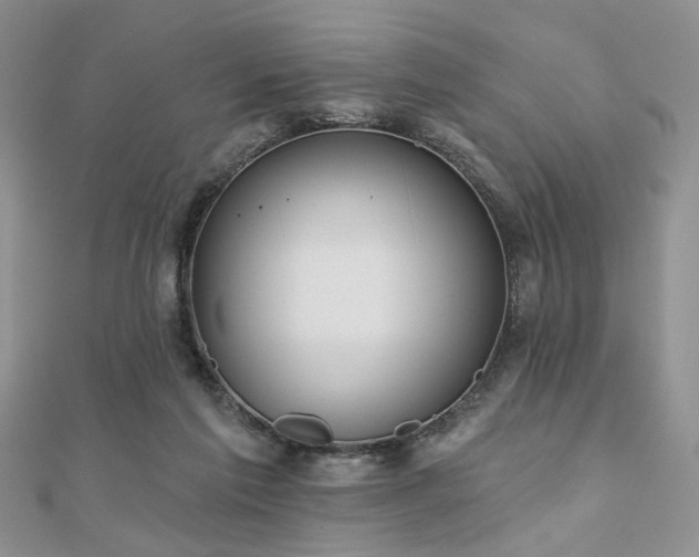 X0000110920213200906181415