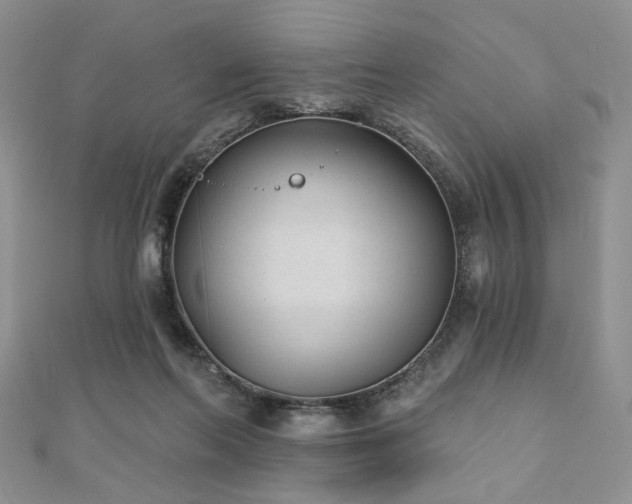 X0000110920214200906181415