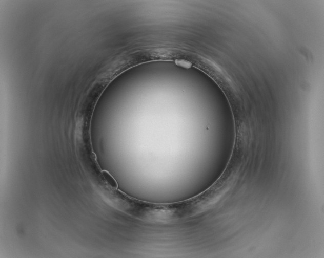 X0000110920217200906181415
