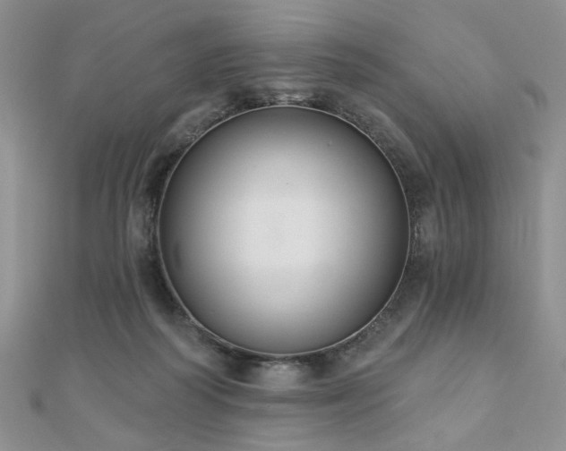 X0000110920218200906181415