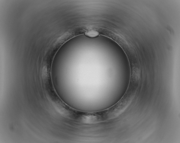 X0000110920220200906181415