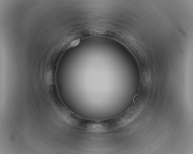 X0000110920224200906181415