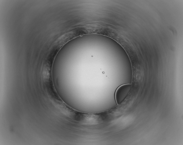 X0000110920226200906181415