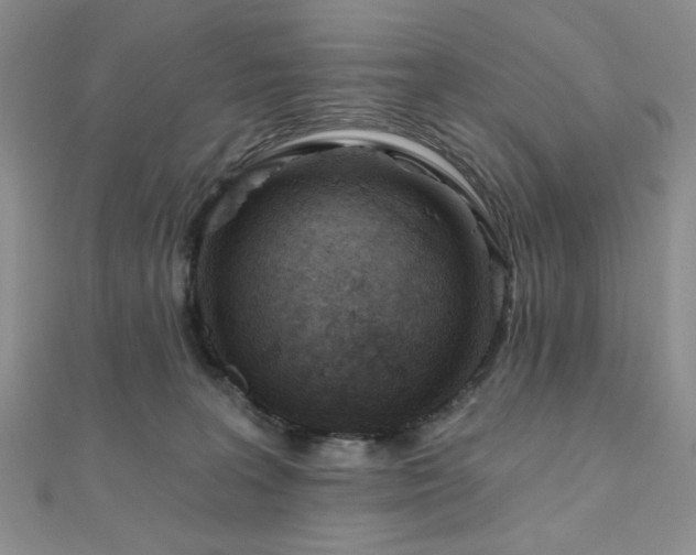 X0000110920227200906181415