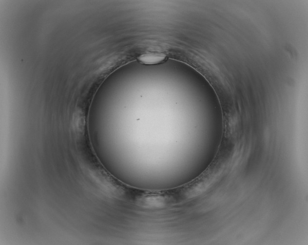 X0000110920228200906181415