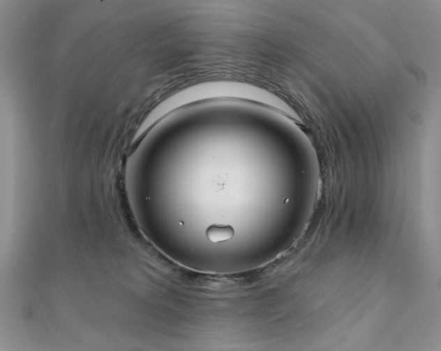 X0000110920229200906181415
