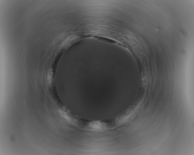 X0000110920231200906181415