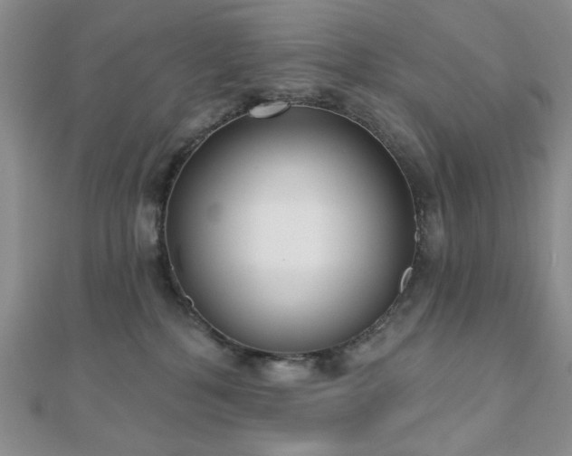 X0000110920232200906181415