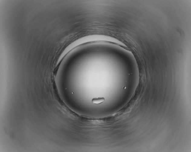 X0000110920233200906181415